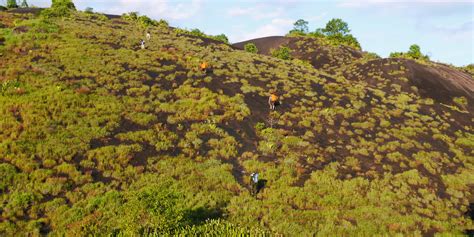 A Trip To The Tumuc Humac Mountains Guyane Evasion