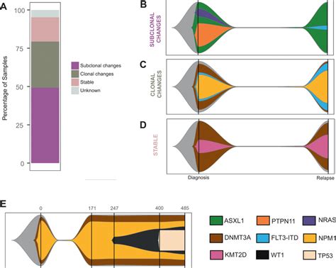 Clonal Evolution During Disease Progression Targeted Panel Sequencing