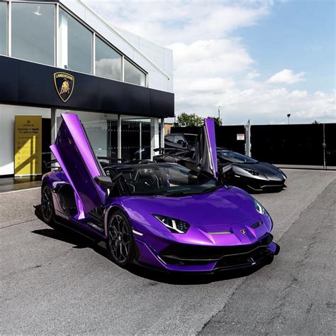 Lamborghini Aventador Super Veloce Jota Roadster Painted In Viola