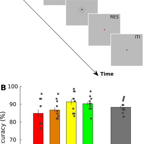 Stimulus Sequence And Behavioral Results Of Exp 1 A Schematic