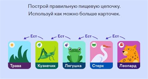 Ответы на всероссийскую онлайн-олимпиада по окружающему миру и экологии ...
