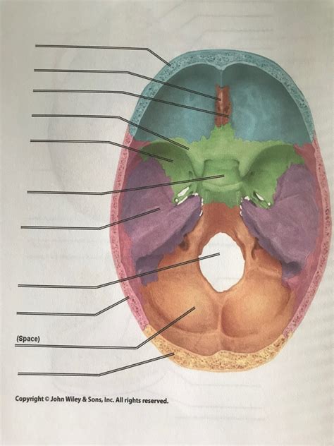 Floor Of Cranium Diagram Quizlet