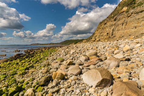 170 Osmington Stock Photos Pictures And Royalty Free Images Istock