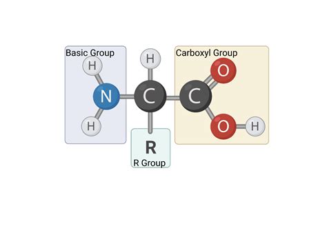 Amino Acid Nc Dna Day Blog