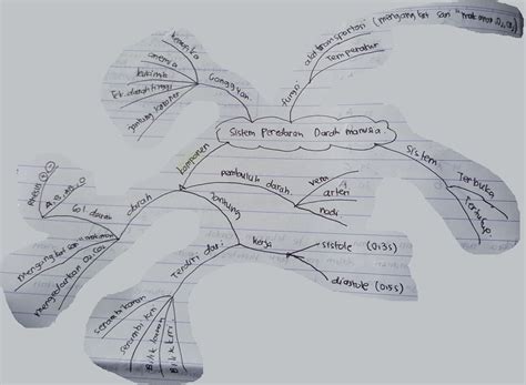 Mind Map Sistem Peredaran Darah Homecare24