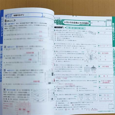 2024年度版 基礎をきずく 理科1年 東京書籍版【教師用】浜島書店 東書 東 By メルカリ