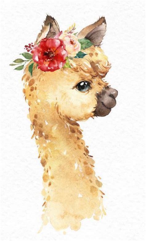 Kleine Lamas Aquarell Tiere Cliparts Alpaka Porträt Blumen Art Land