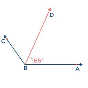 Bisect: Meaning, Formula, Examples, Facts