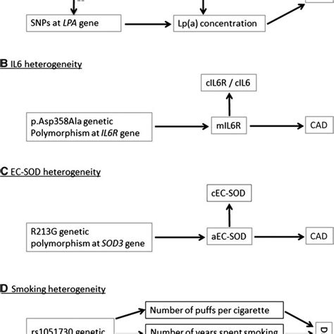 Basic Principles Of Mendelian Randomization The Target Exposure E Is