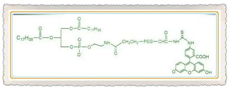 Dspe Peg Fitc，dspe Peg Fluorescein的性状呈固体或液体 知乎