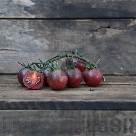 Tomato 'Black Cherry' Certified Demeter Biodynamic and Organic Seed