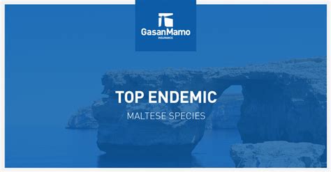 Top Endemic Maltese Species Gasanmamo Insurance