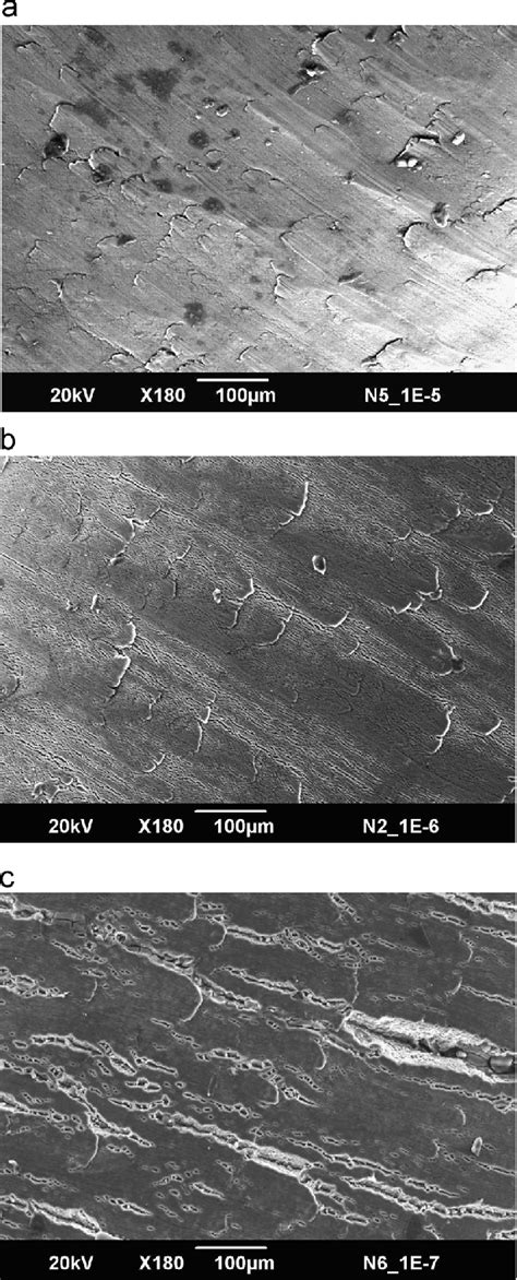 Sem Micrographs Of Ufg Al 75mg Alloy Showing Exfoliation Corrosion