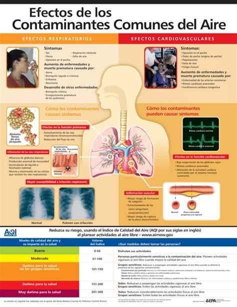 Efectos De Los Contaminantes Comunes Del Aire Cartel Médicos