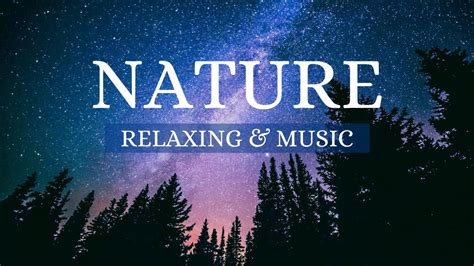 2 Hours Of Amazing Nature Sound Scenery And Relaxing Nature Sounds