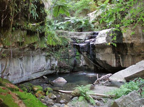 Goin Feral One Day At A Time Carnarvon Gorge Battleship Spur Walk