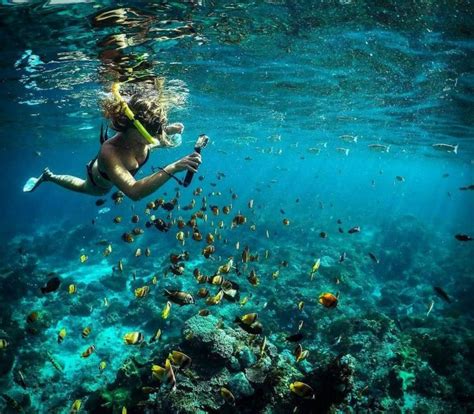 One Day Nusa Penida Snorkeling And Island Tour Combination Getyourguide