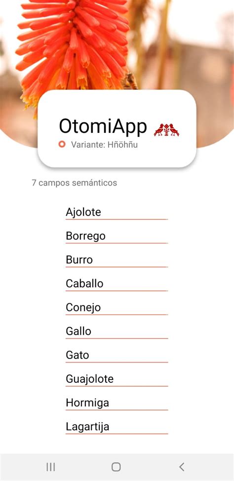 Mexiquenses Crean Otomiapp Para Enseñarte A Hablar Otomí Grupo Milenio