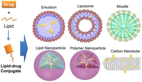 Enhancing Drug Delivery By Lipid Drug Conjugate Nanocarriers The