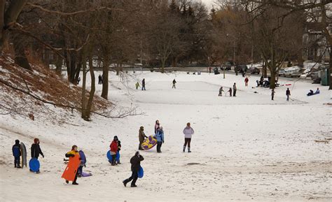 Free Things To Do In Toronto Winter Pelajaran