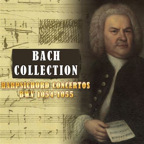 Harpsichord Concerto No In D Major Bwv Iii Allegro Youtube