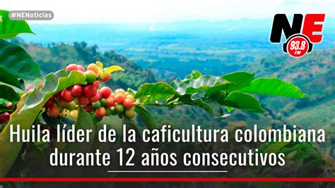 Huila Contin A Liderando El Ranking De La Producci N Cafetera Del Pa S