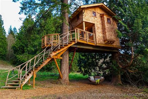 Pin By Thomas Rainey On Tree Houses Tree House Designs Cool Tree Houses Building A Treehouse