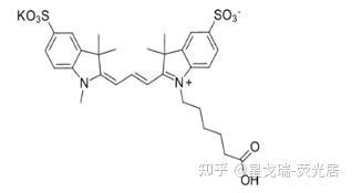 皮下组织观测Sulfo Cy3 COOH染料Sulfo Cyanine3 COOH 知乎