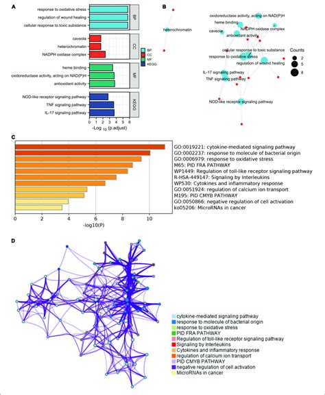 The Enrichment Pathway Analysis Of Ferroptosis And Autophagy Related Download Scientific