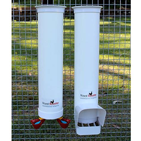 Royal Rooster Chicken Feeder And Waterer Set Includes 1 Gallon Waterer With 2 Cups And 7lb