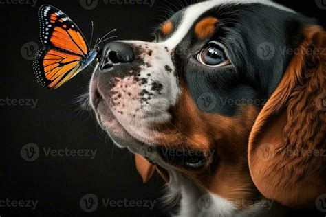 Dog with giant butterfly on nose illustration 23939045 Stock Photo at Vecteezy