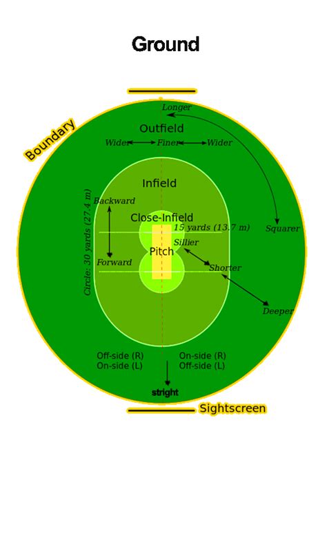 Cricket ground dimensions