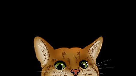 HD Wallpaper: Orange Cat with Green Eyes Peeking