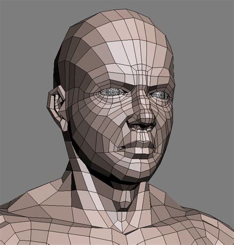 Boxer Male 3D Model Anatomy Topology Poses Face Topology Model