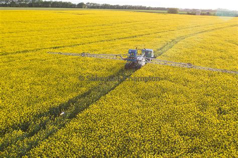 Photographie SEMIS DE COLZA AU SEMOIR MONOGRAINE Agricole