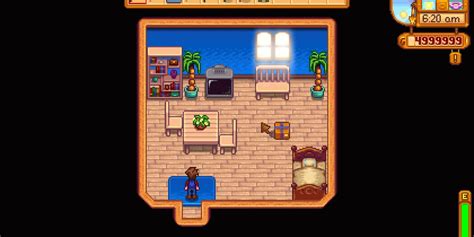 Stardew Valley How To Decorate Your House