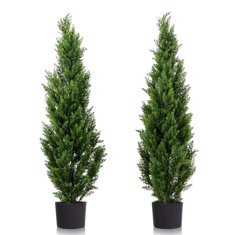 15 Best Small Trees For Your Front Yard Enhance Your Curb Appeal With