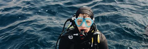 Try Scuba Diving In The Arr Bida Natural Park In Sesimbra From