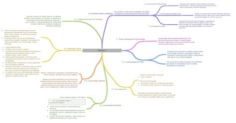 Resum 1 Coggle Diagram