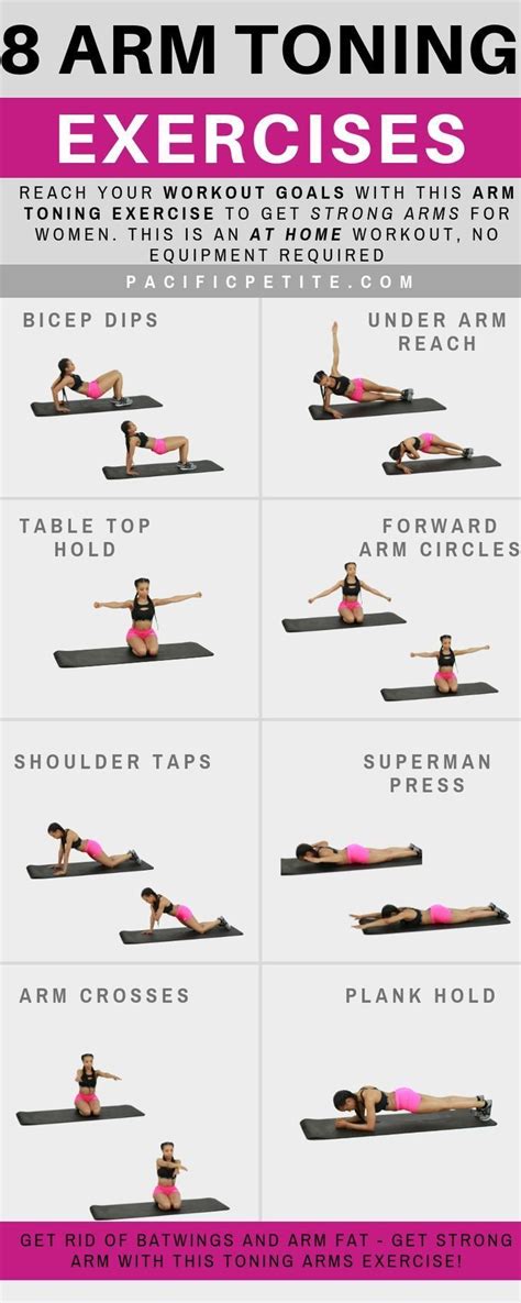 Arm Weight Exercises For Beginners