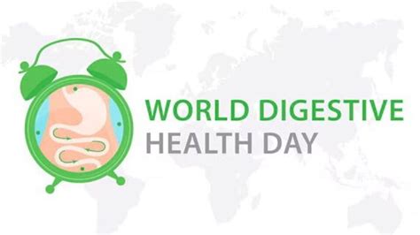 World Digestive Health Day 2024 क सजर कल जत वरलड डयजसटवह