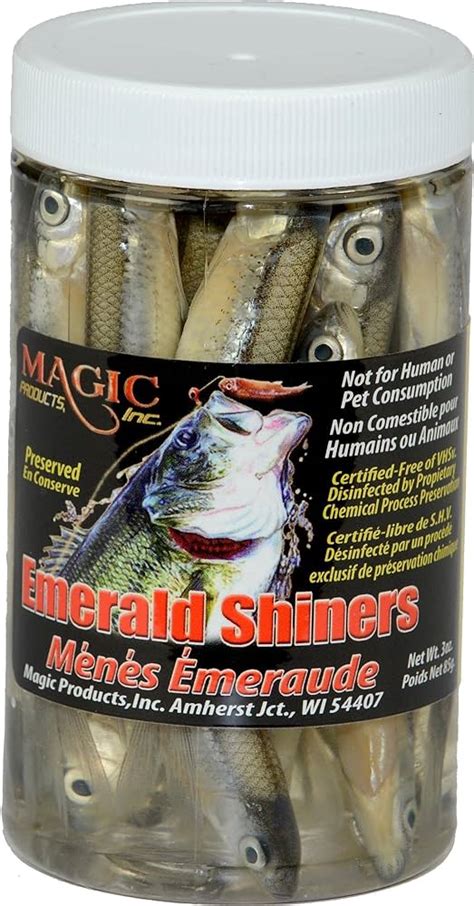 Large Shiner Bait