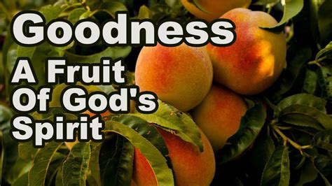 Goodness A Fruit Of Gods Holy Spirit Youtube