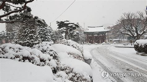 대설주의보 속 서산시청 앞은 설국 연합뉴스