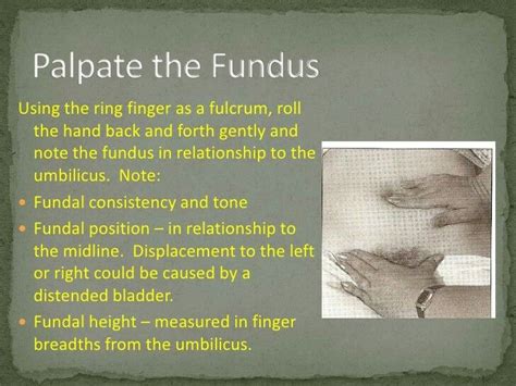 Fundus Assessment Pediatric Nurse Practitioner Pediatric Nursing
