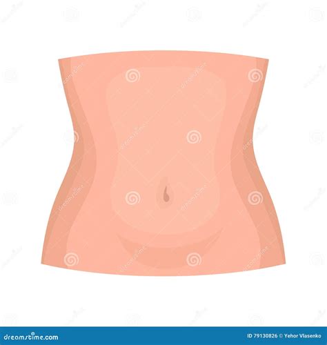 Abdomen Icon In Cartoon Style On White Background Part Of Body Symbol