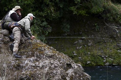 Flyfishing options in New Zealand | catch big rainbow and brown trout