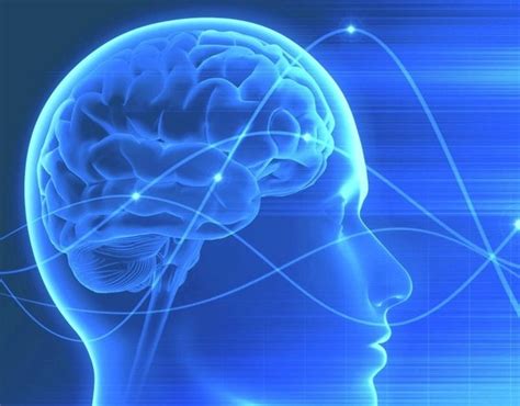 Neurofeedback qué es esta herramienta terapéutica