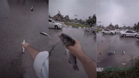 La Verdad Sobre El Video De La Lluvia De Peces En Ir N Cu L Es La