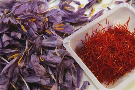 Baik Untuk Kesihatan Ini Manfaat Saffron Yang Ramai Tak Tahu